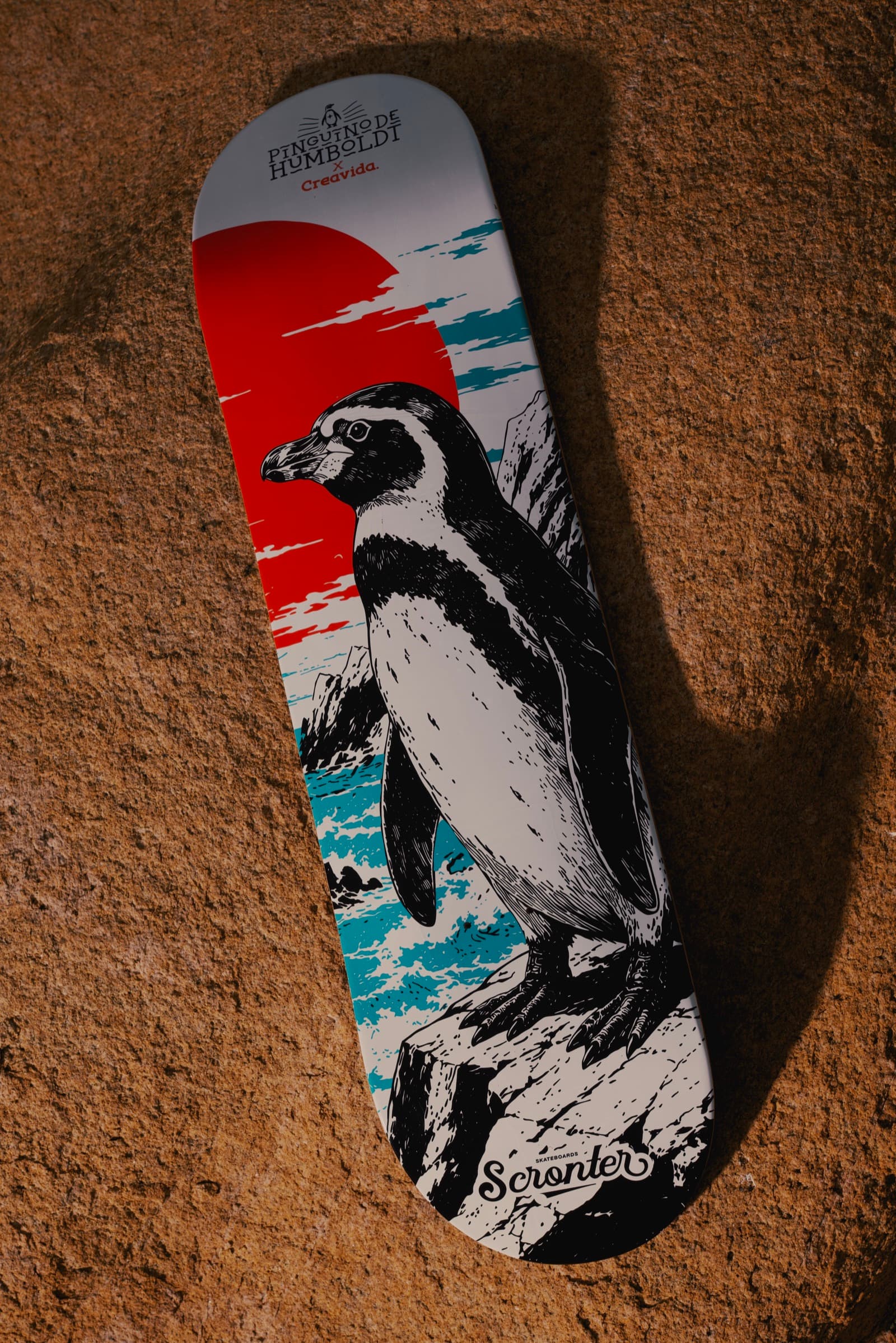Scronter Humboldt Skateboard × Creavida